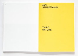 JAN STRADTMANN